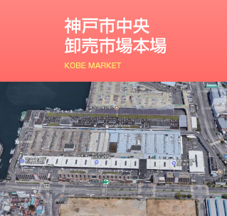 神戸市中央卸売市場リンク